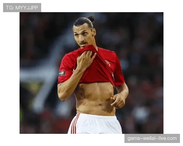 伊布家的狗都吃有机牛排？